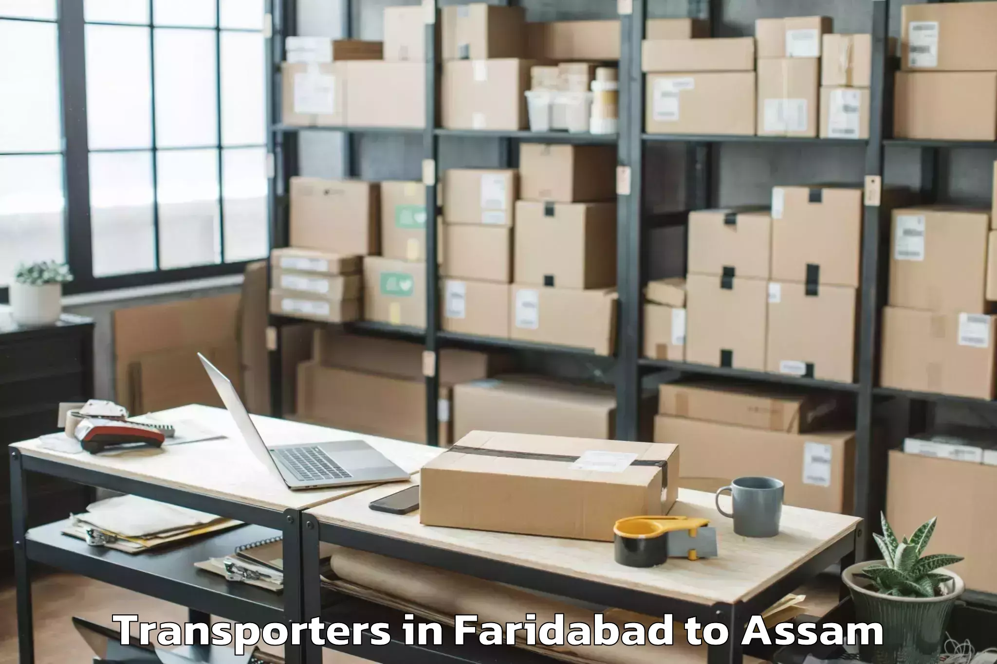 Leading Faridabad to Kaliabor Transporters Provider